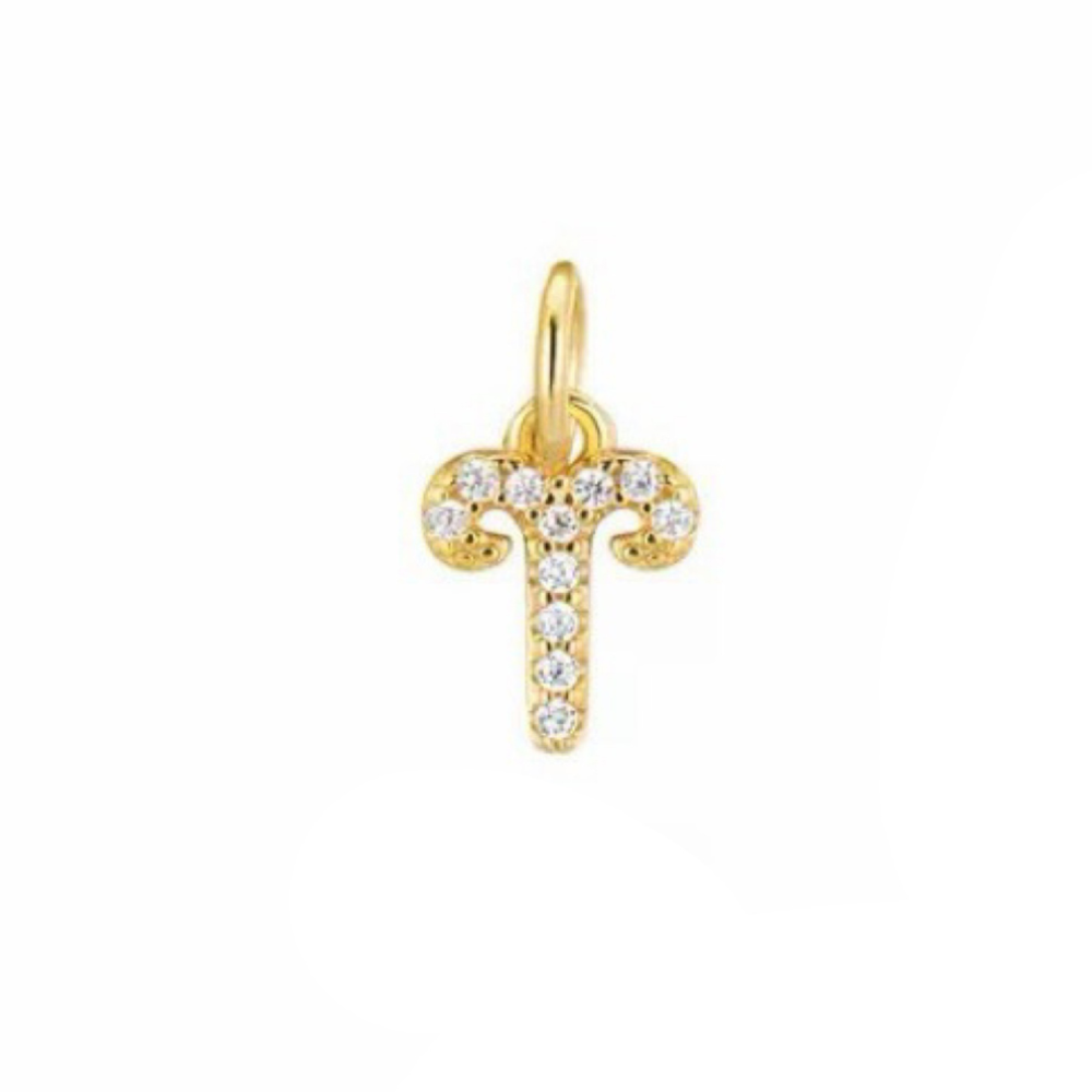 ARIES CHARM